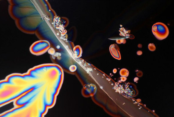 科學家加里&middot;格林伯格使用定制的3D顯微鏡將仙粉黛玫瑰紅酒樣本放大300倍