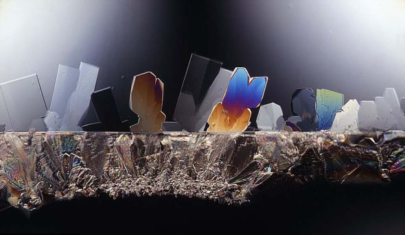 放大125倍的糖。格林伯格拍攝了一系列日常物品，他的樣本和標本來自世界各地的研究人員