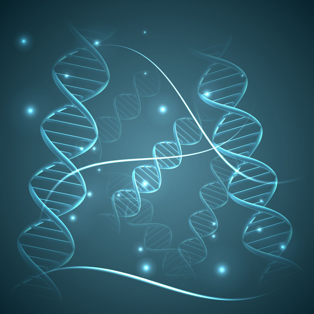 DNA研究向3D時代邁進(jìn)