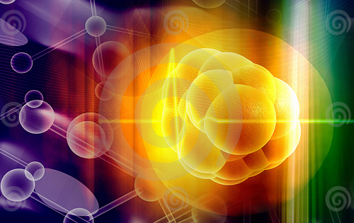 Cell death＆differ：中國(guó)科學(xué)家發(fā)現(xiàn)抑制乳腺癌腫瘤干細(xì)胞新策略